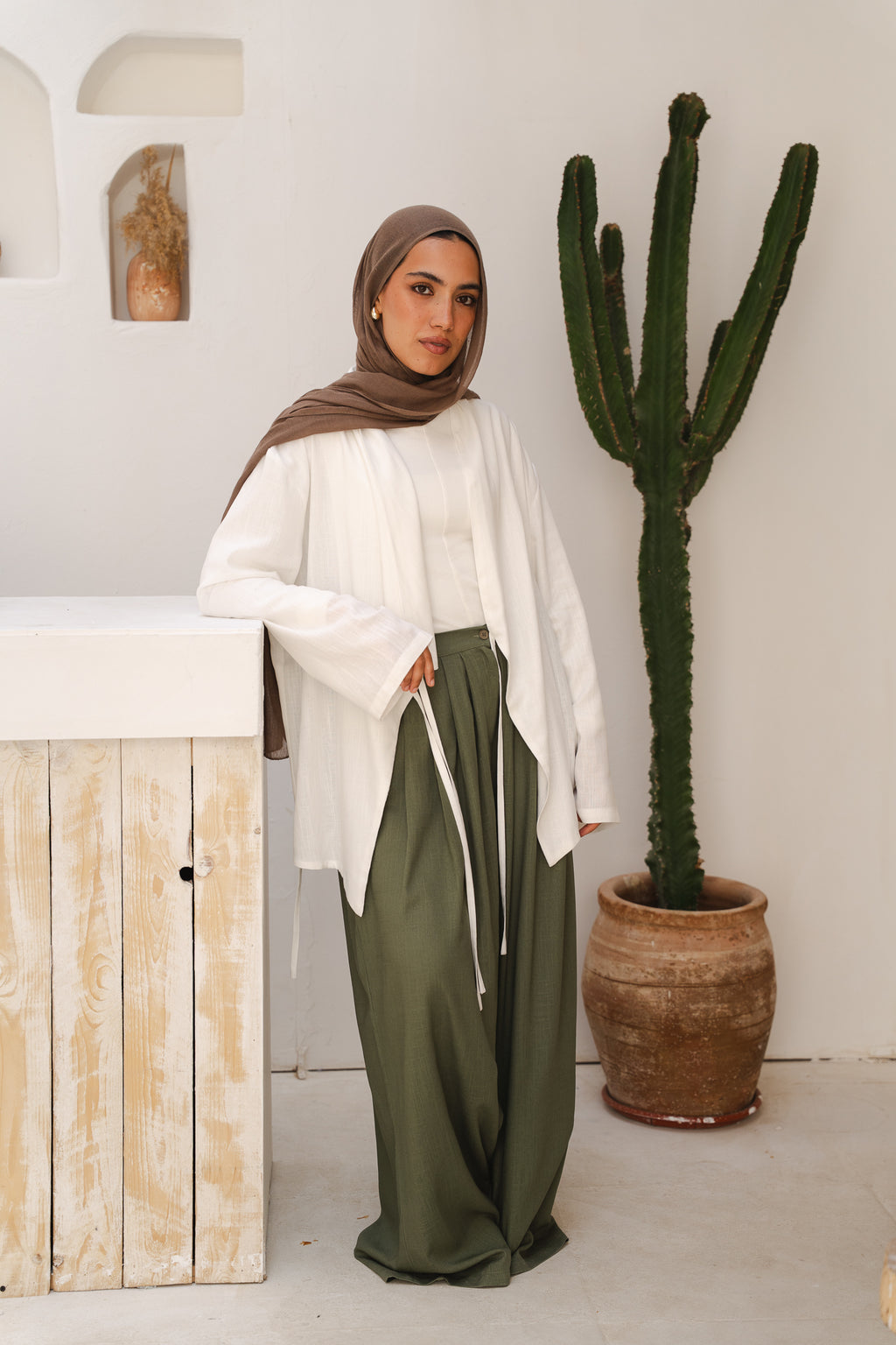Day Light Pleated Linen Pants in Olive