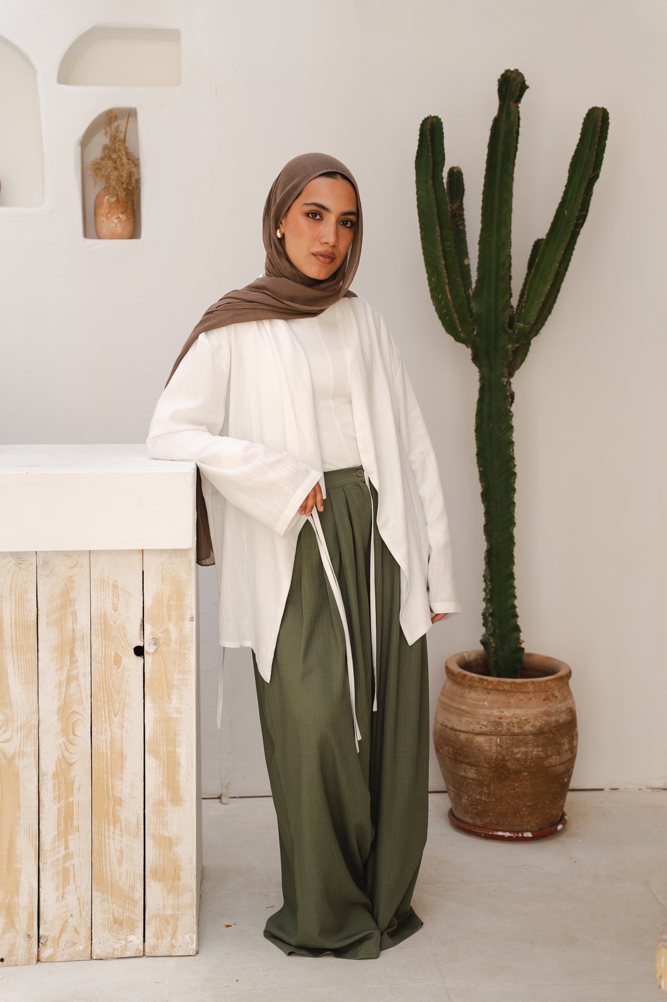 Day Light Pleated Linen Pants in Olive